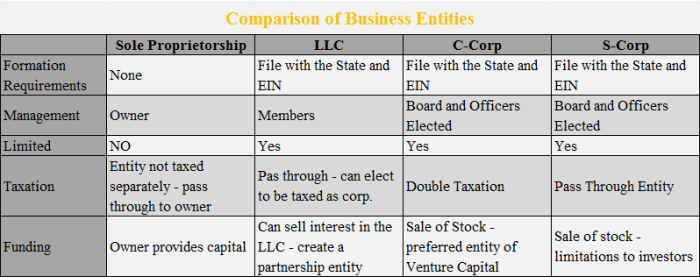 Entity Types And Business Tax Filing Implications - Choosing The Right One.